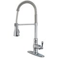 Templeton 20.5 x 8.7 in. Chrome Single-Handle Kitchen Faucet with Pull-Down Spray TE2595985
